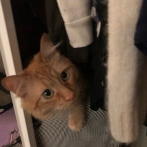 Meet your Posher, Chelsea